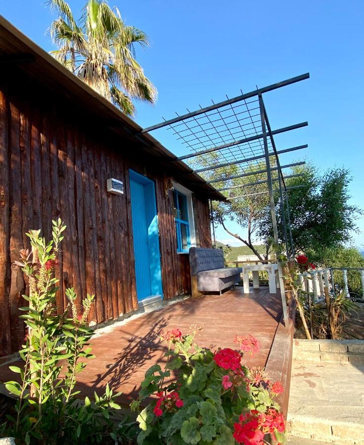 Zbb Stylish Villa & Bungalows Alanya Exterior foto